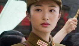 电视剧狐影,暗夜奇谋，神秘谍影