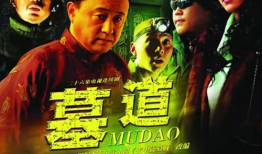 墓道电视剧剧情介绍,揭秘古墓之谜，探寻千年传奇