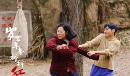 岁岁年年柿柿红电视剧全集,岁月流转的温情岁月