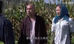 樱桃红电视剧,烽火岁月里的爱情传奇