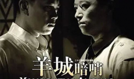 周克华电视剧,传奇杀手背后的真相与命运